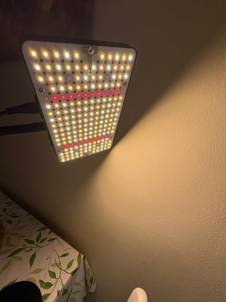 Lámpara LED FECiDA 25W para plantas
