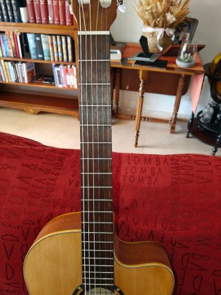 Guitarra Clásica Ortega RCE125SN Nylon