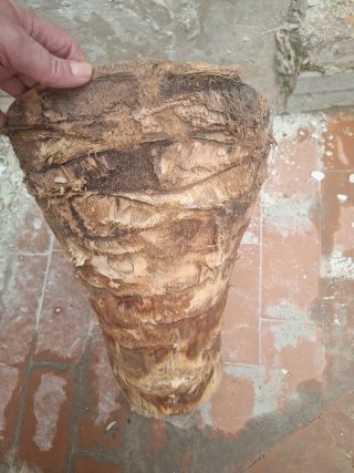 Macetero ecológico de madera