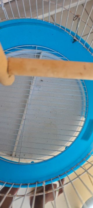 Jaula para pájaros 70cm azul y blanca