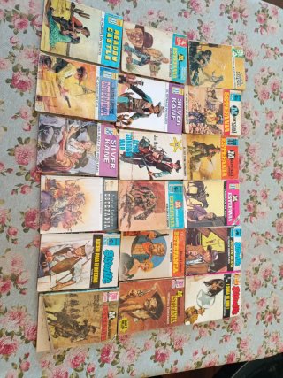 Lote 18 novelas del oeste