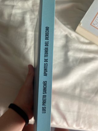 Apuntes de teoría del derecho