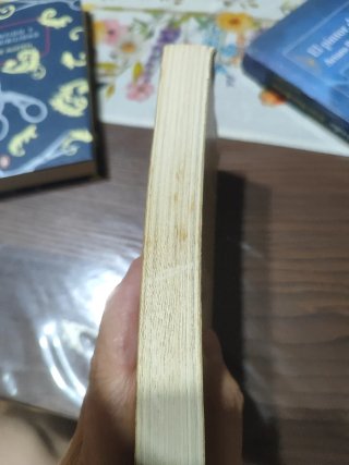Libro El maestro de esgrima