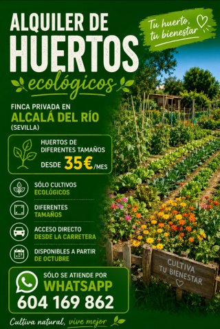 Alquiler de huertos ecológicos desde 35€/mes