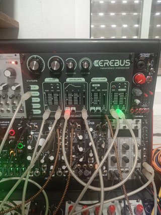 Dreadbox Lil Erebus Sintetizador Modular