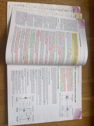 Psicología 2o Bachillerato