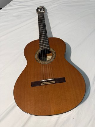 Guitarra Alhambra 3C + Funda + Afinador