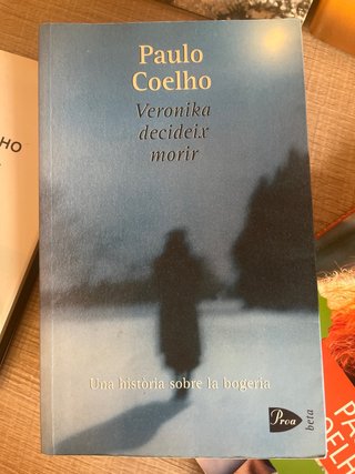 El peregrino de Compostela (Diario de un mago)