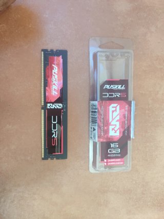 Memoria RAM Puskill 16GB DDR5 4800MHz PC sobremesa