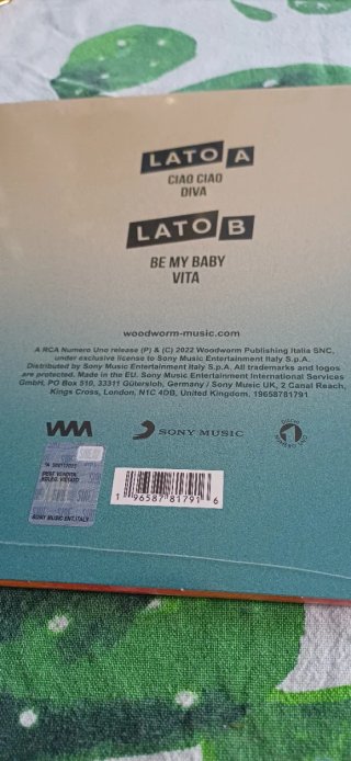 La Rappresentante di Lista Ciao Ciao