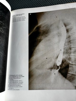 Gran Atlas de Anatomía Humana de R. M. H. McMinn y