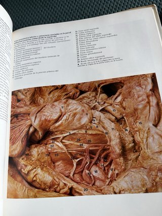 Gran Atlas de Anatomía Humana de R. M. H. McMinn y