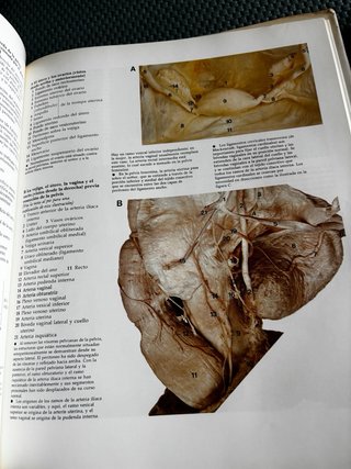 Gran Atlas de Anatomía Humana de R. M. H. McMinn y
