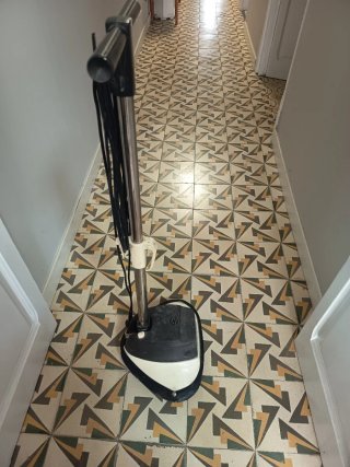 Pulidora Electrolux - haz una oferta