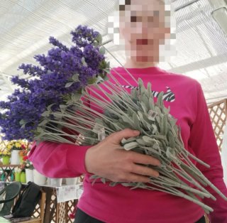 Fiordaliso Artificiale Viola x5