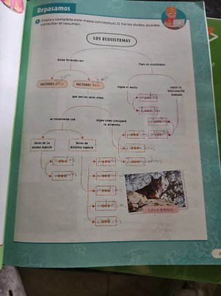 Ciencias de la Naturaleza, 4 Primaria, sm Revuela