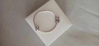 Pulsera Pandora Plata