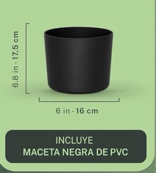 Planta Drácena Artificial Decorativa