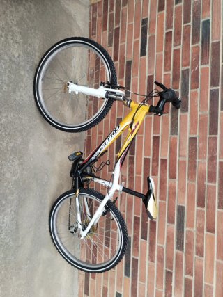 Bicicleta Infantil Coluer 24 (9-15 años)