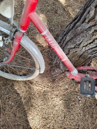 Bicicleta BH Roja Plegable