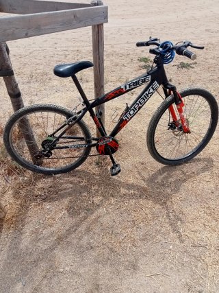 Bicicleta TOPBIKE STRIPE