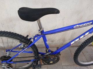 BH Oregon Montaña 24