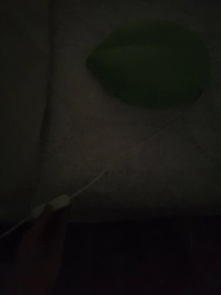 Luz LED Verde Hoja