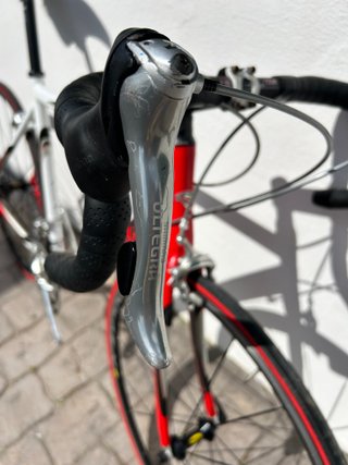 Bicicleta Carretera Carrera Nettuno Talla 54
