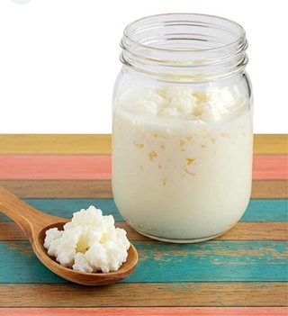 Frasco para Kéfir de Vidrio