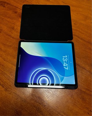 iPad Pro 12.9 M2 6ª Gen 256GB (Lapiz, funda)