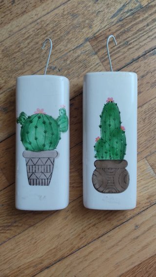 Humidificador Radiador Cactus