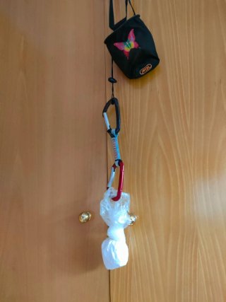 Bolsa magnesio escalada Pelzt + cinta exprés
