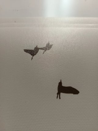 Cuadros decorativos de papel tipo lienzo y madera