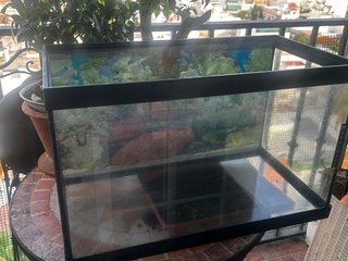 Acuario 50x30x26 cm