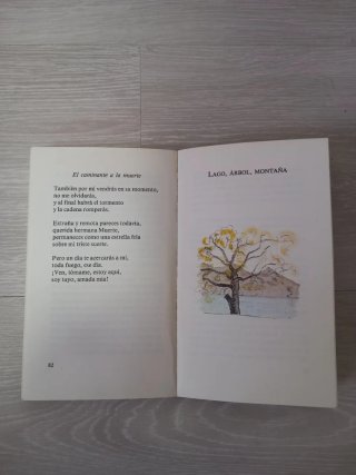 El caminante - Hermann Hesse