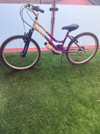Bicicleta Montaña MUDDY 24 AT