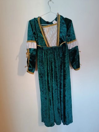 Disfraz Medieval Verde Terciopelo