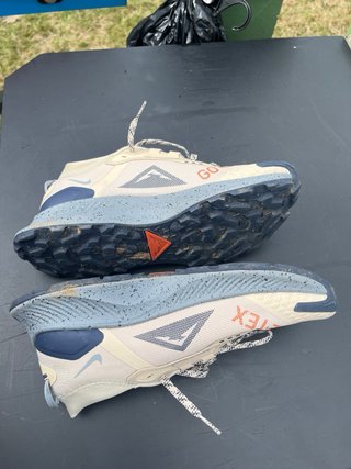 Nike Pegasus Trail 3 Gore-Tex Beige/Naranja