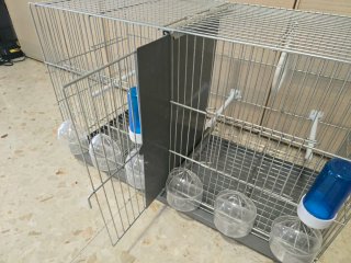 Jaula de cría RSL 60 galvanizado