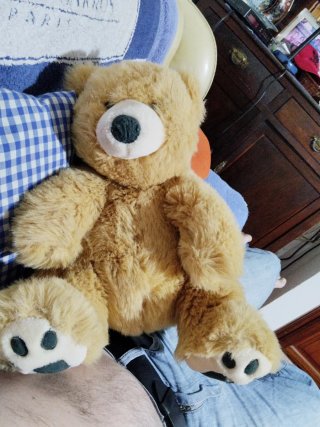 Oso de peluche marrón