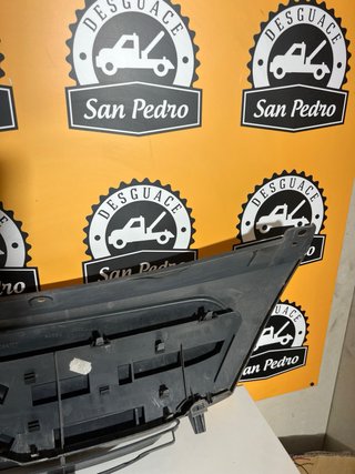 Rejilla Delantera Citroen C3