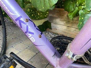 Bicicleta Monty 12 Lila
