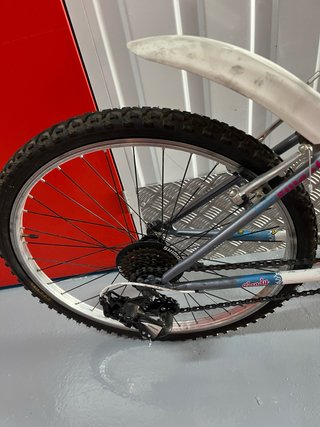Bicicleta Montaña Torpado Candy Niños