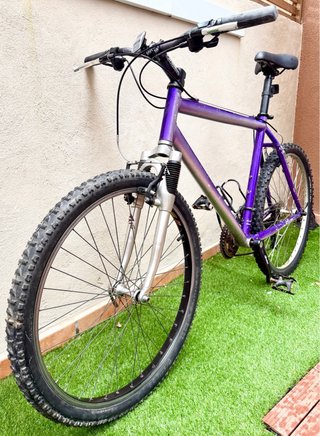 Bicicleta Clásica de Aluminio 26 “ . T/L