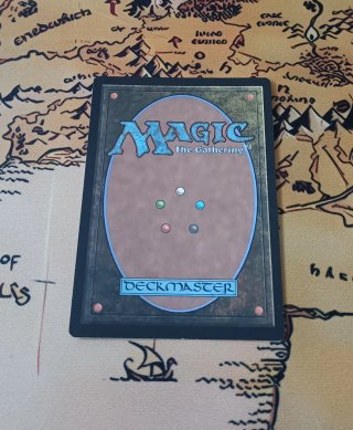 CARTA MAGIC FOIL - MORTICIAN BEETLE