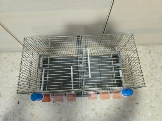 Jaula Cría Pedros 60cm galvanizada
