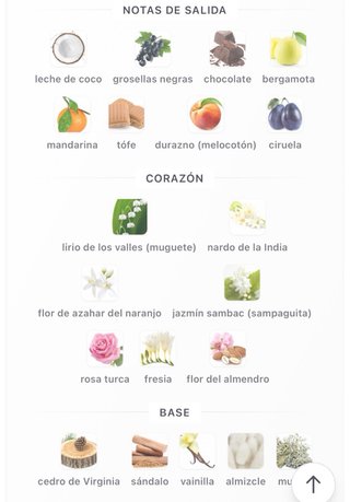 Perfume Vibes Intense Louis Varel para Mujer