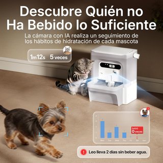 Fuente automática para gatos con cámara