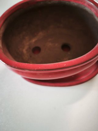 Maceta bonsai roja con plato