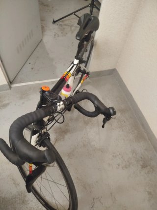 Trek Domane carbono talla 52